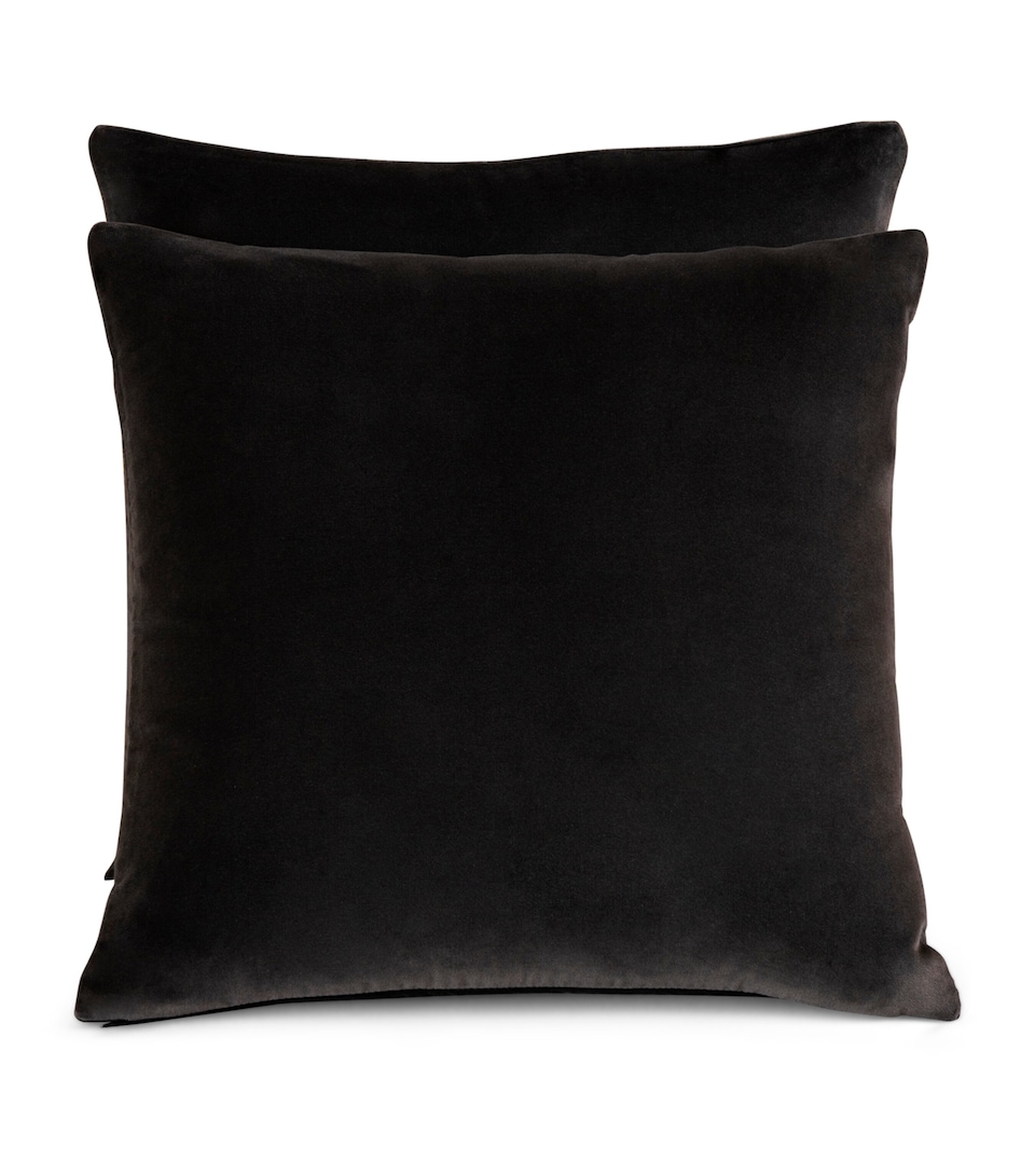 Luxury Velvet Cushion Cover (50cm x 50cm)
