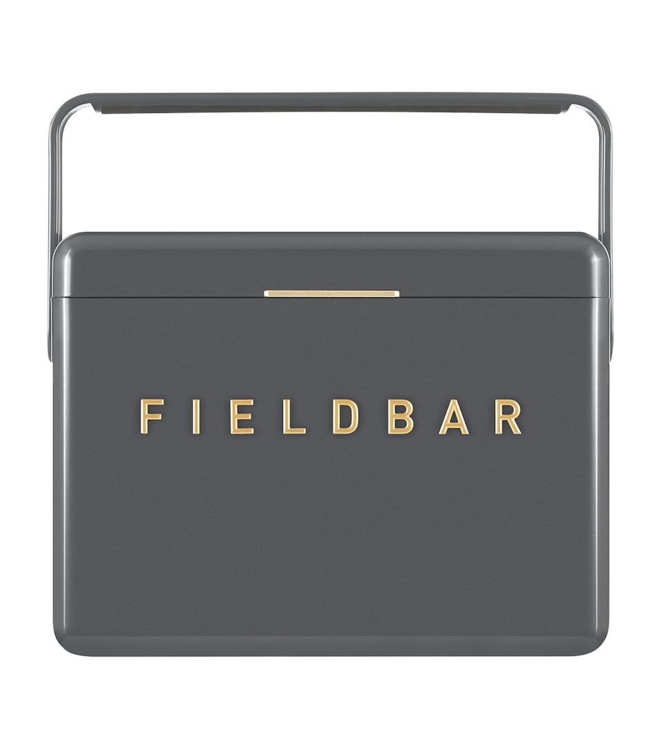Mini Bar Cooler Box with Leather Sling (4L)