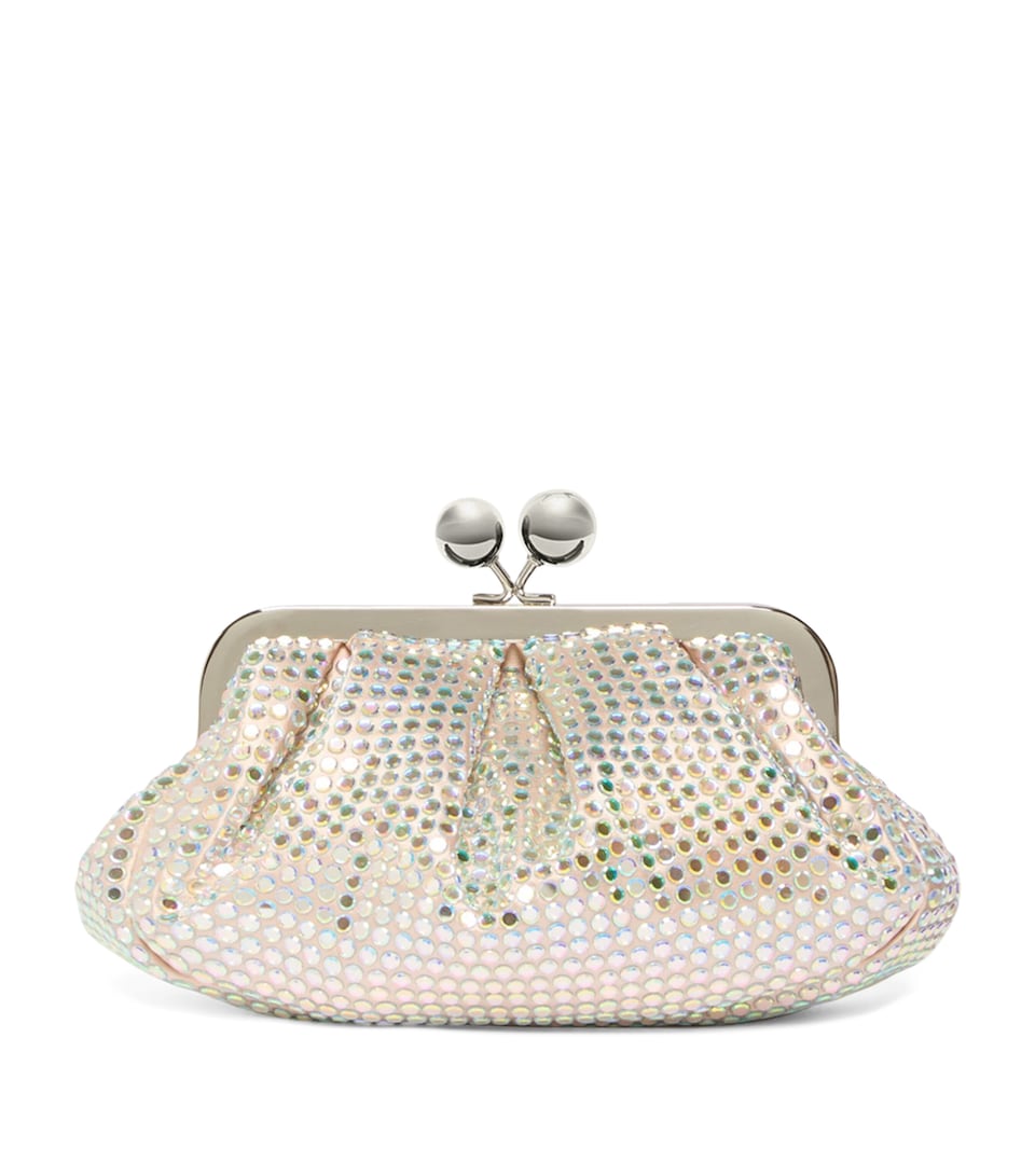 Embellished Pasticcino Clutch Bag