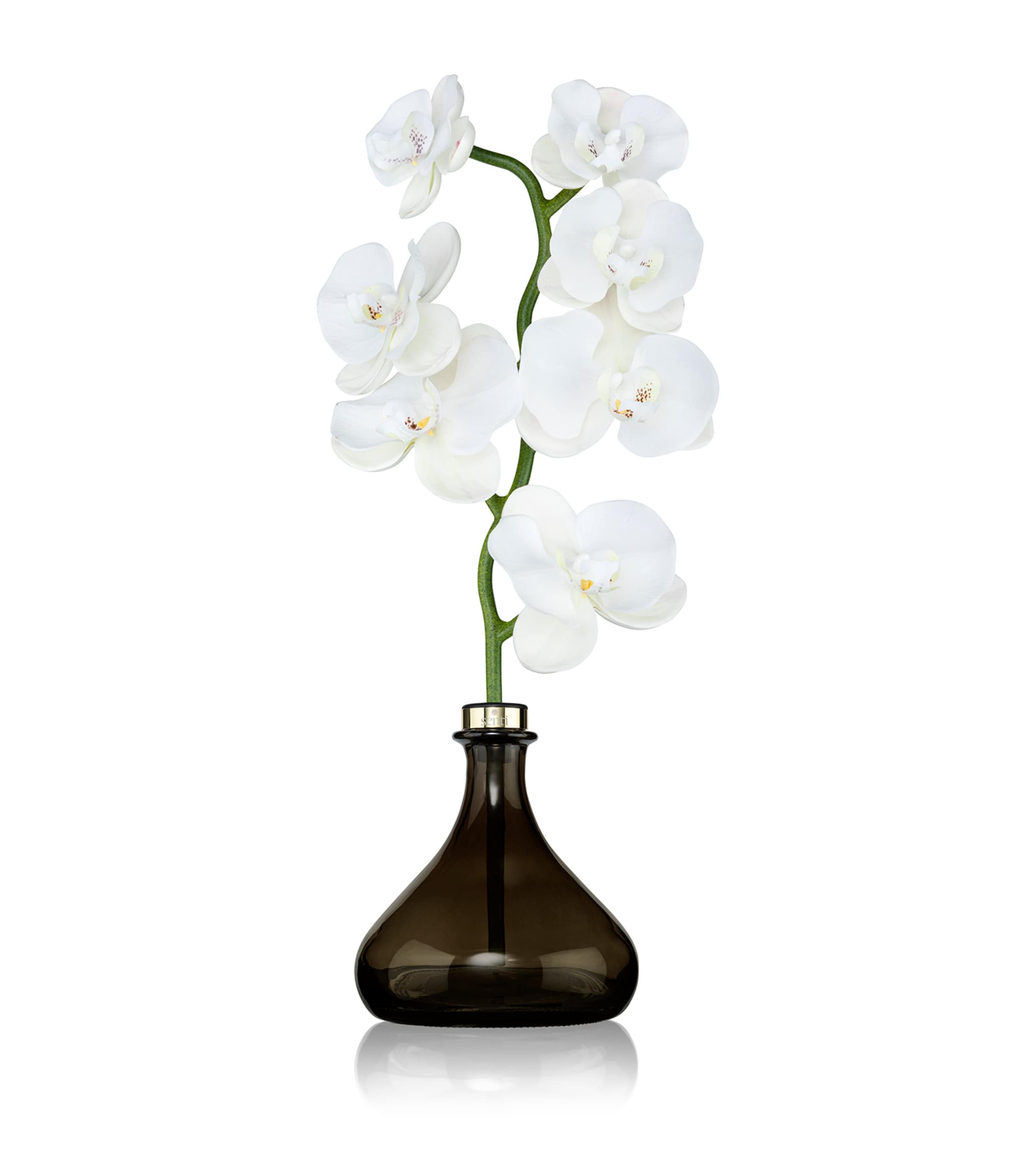 Pepper & Spice The Orchid Diffuser (250ml)