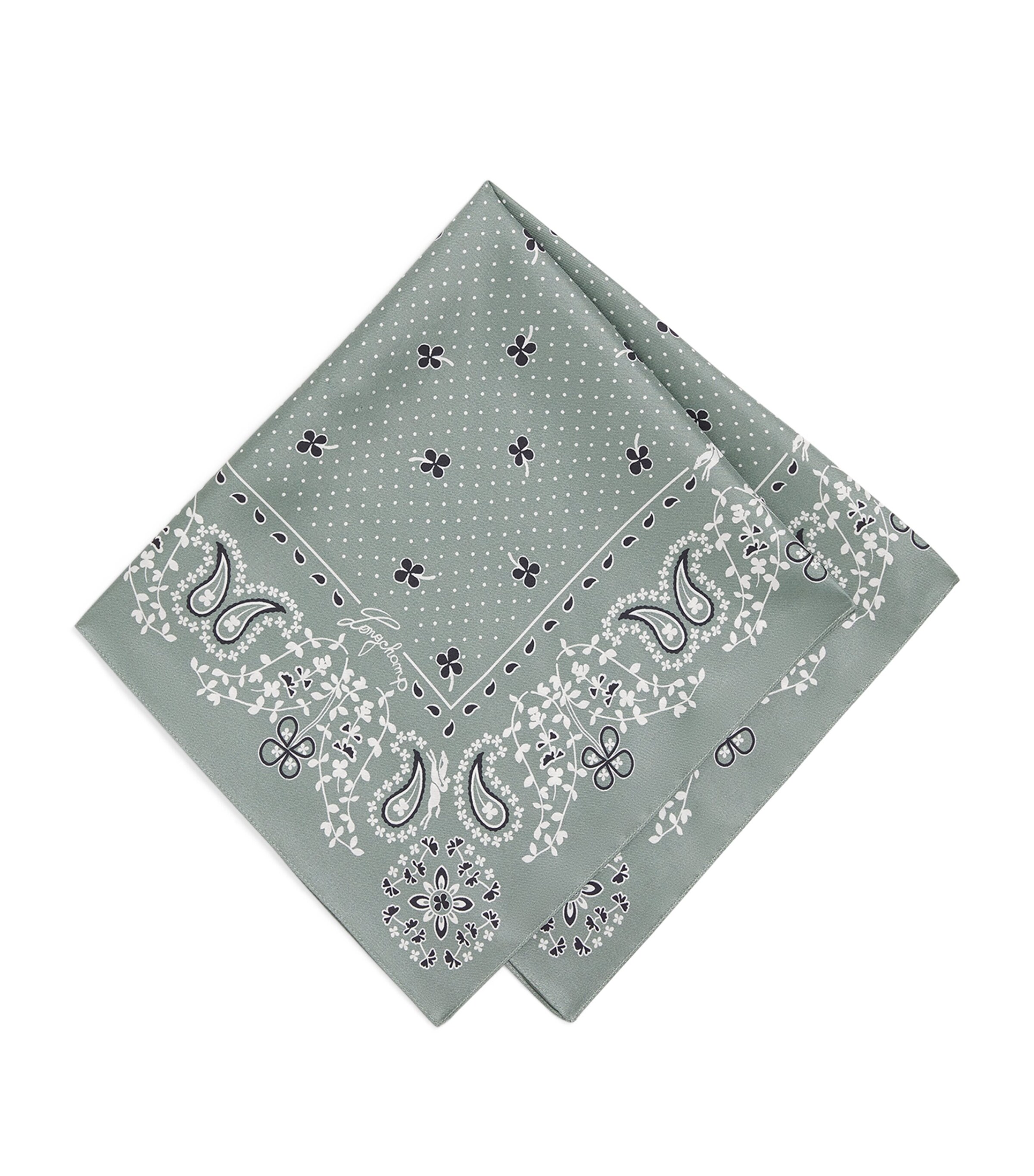 Silk Paisley Print Scarf