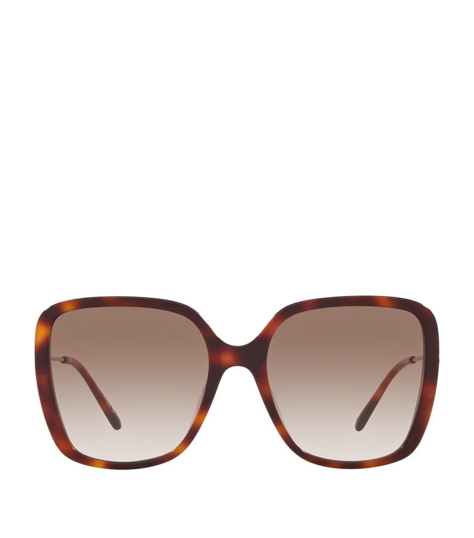 Acetate 06N000487 Sunglasses