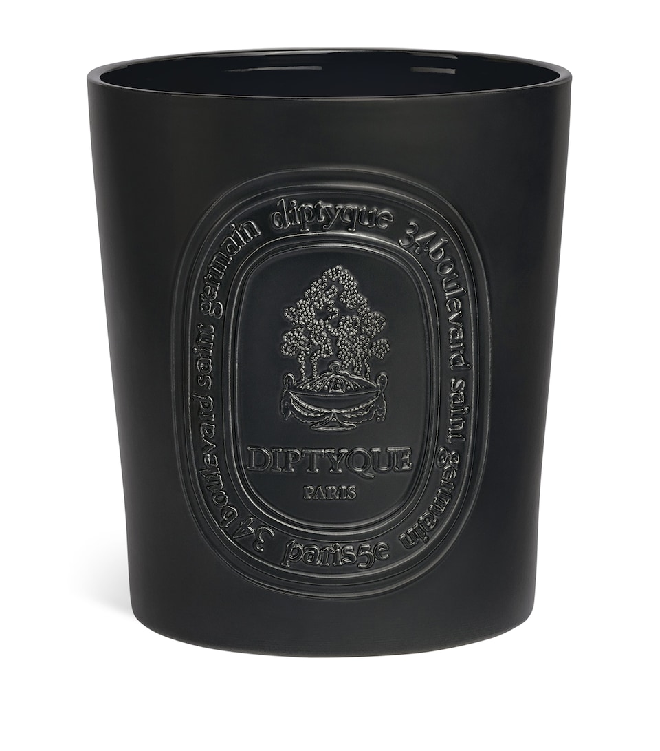 Diptyque Baies Candle (5kg)
