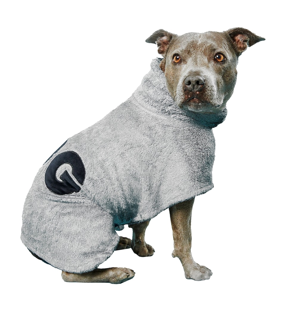 Small Towelling Dog Poncho