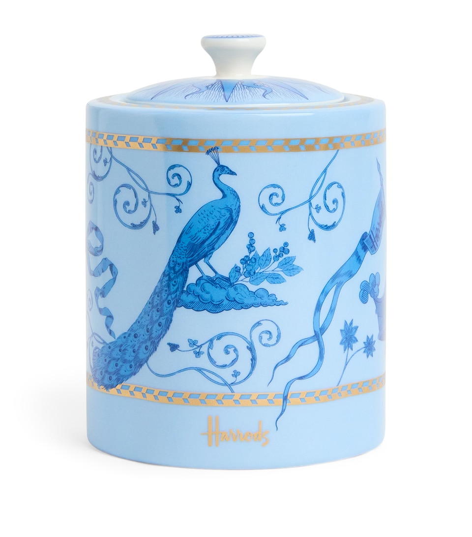 Fine China Menagerie Tea Caddy