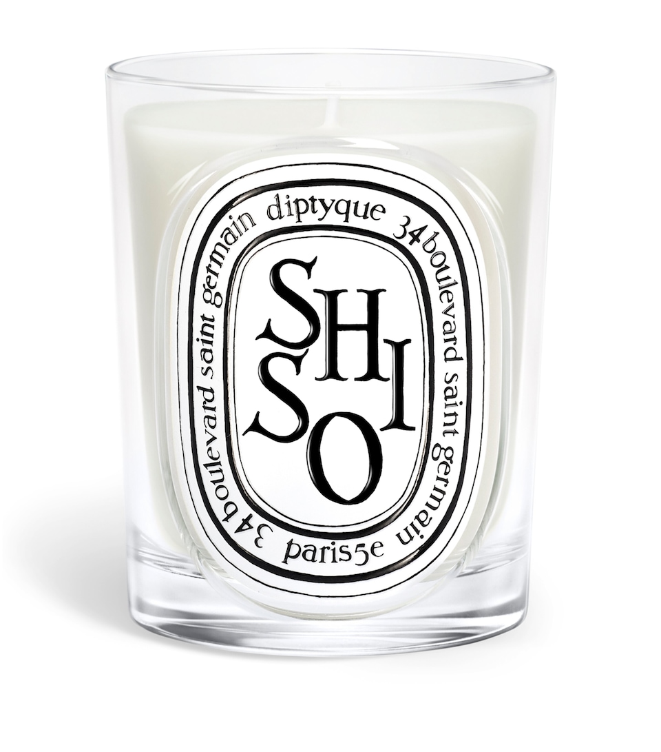 Diptyque Shiso Candle (190g)