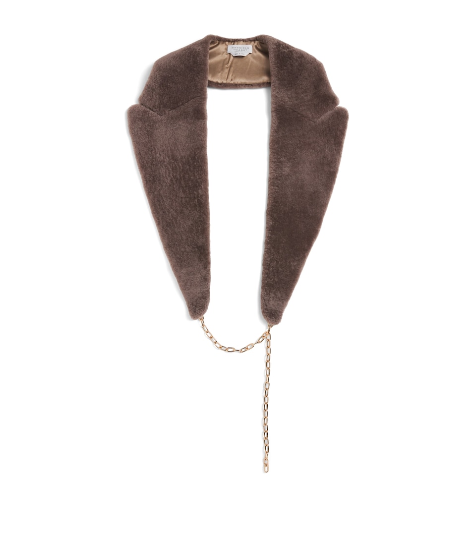 Gabriela Hearst Beaver Fur Elliot Coat Collar Moc Mocha