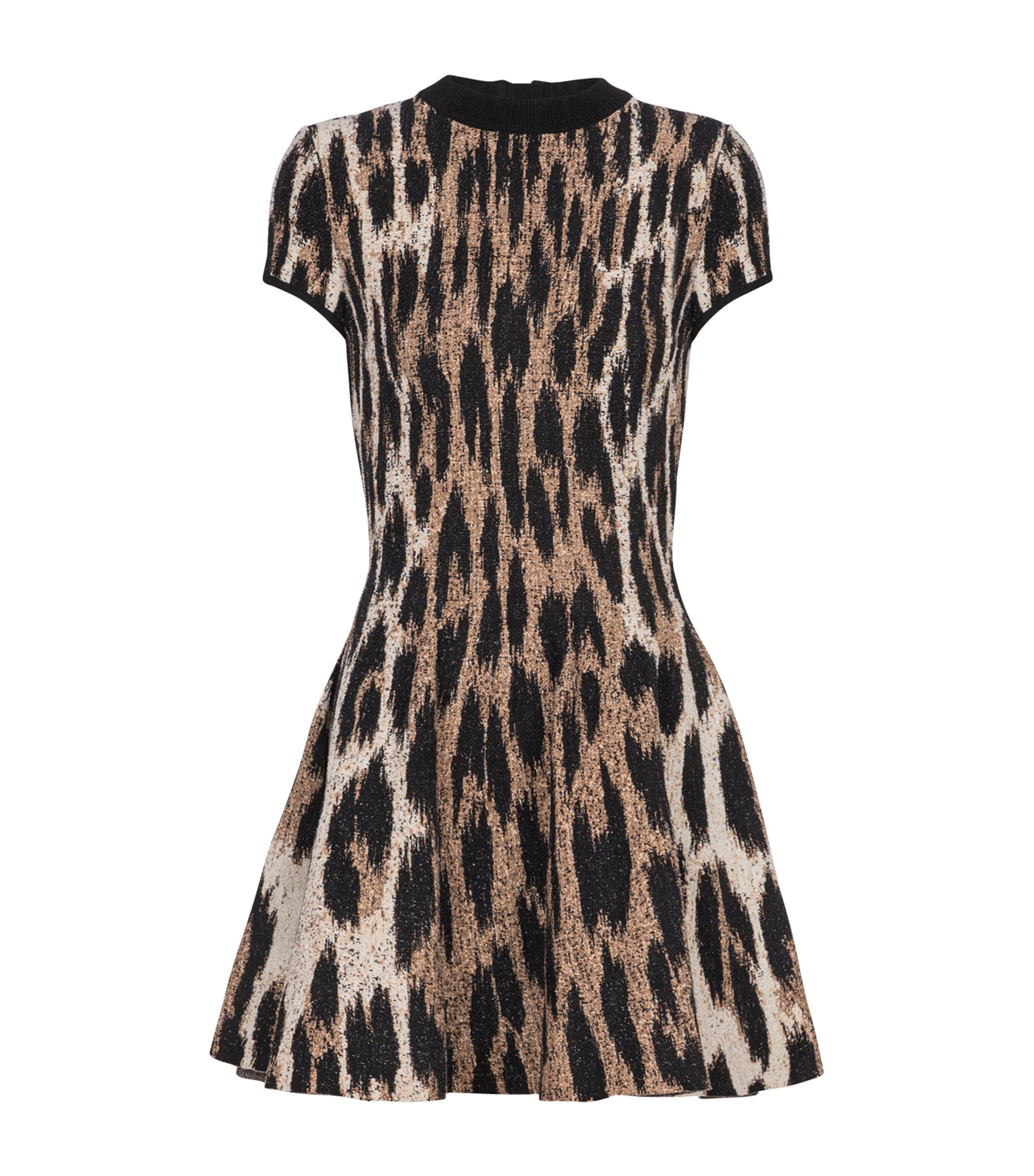 Leopard Print Mini Dress