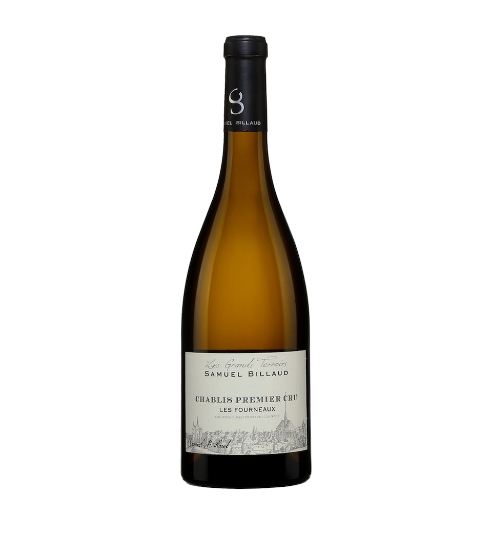 Chablis 1er Cru Fourneaux 2022 (75cl) - Chablis, France