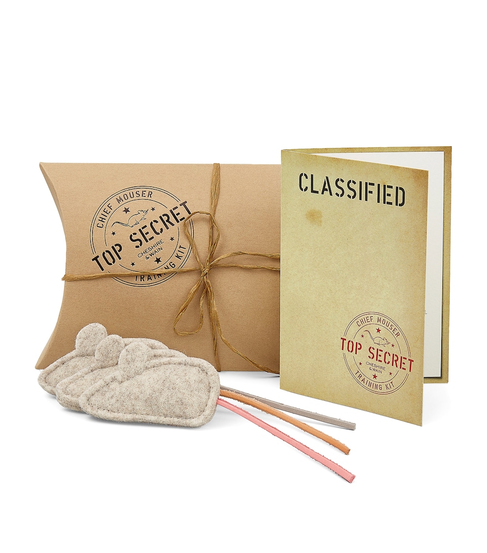 Cheshire & Wain Chief Mouser Training Kit Cat Toy