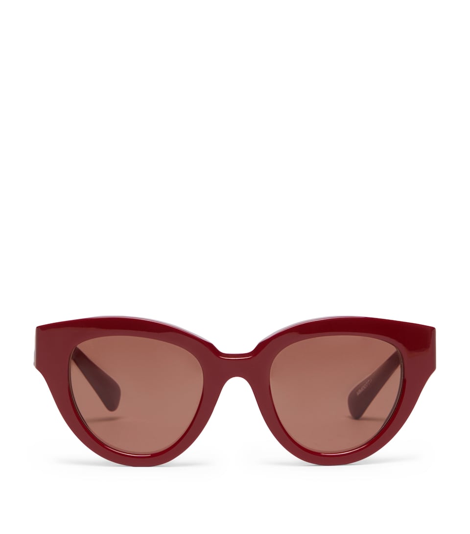 Acetate Butterfly Sunglasses