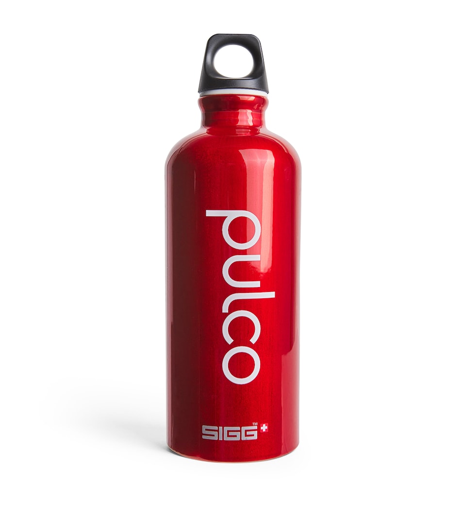x SIGG Water Bottle