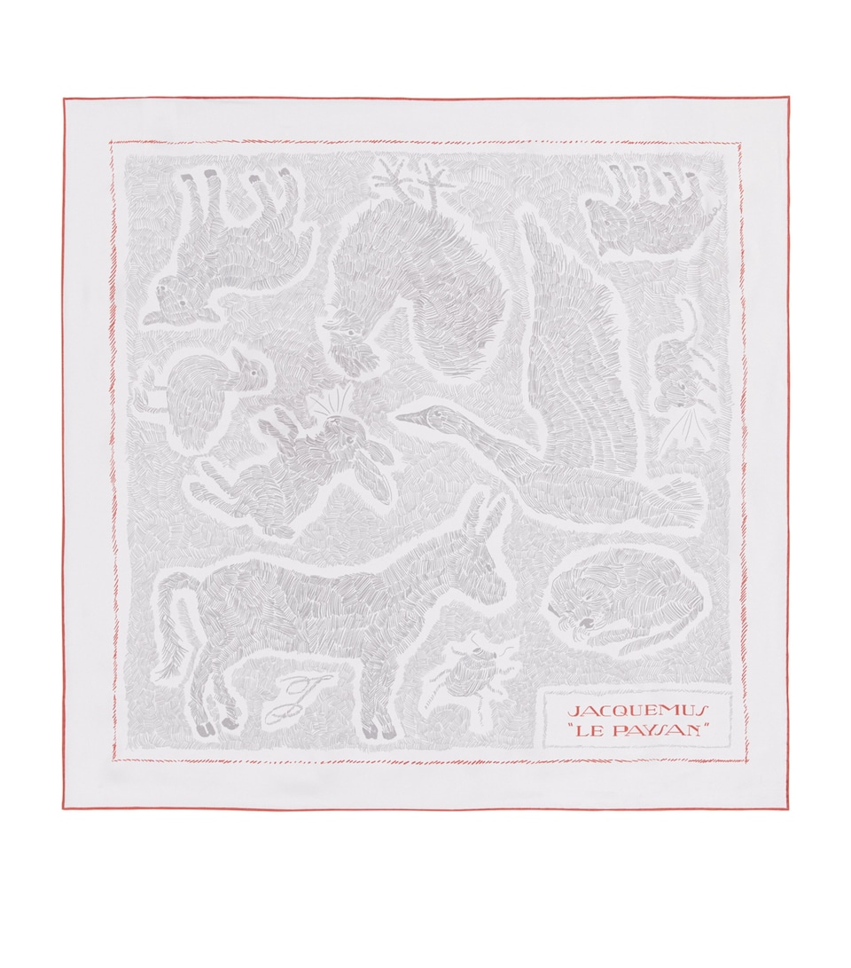 Silk Printed Paysan Scarf