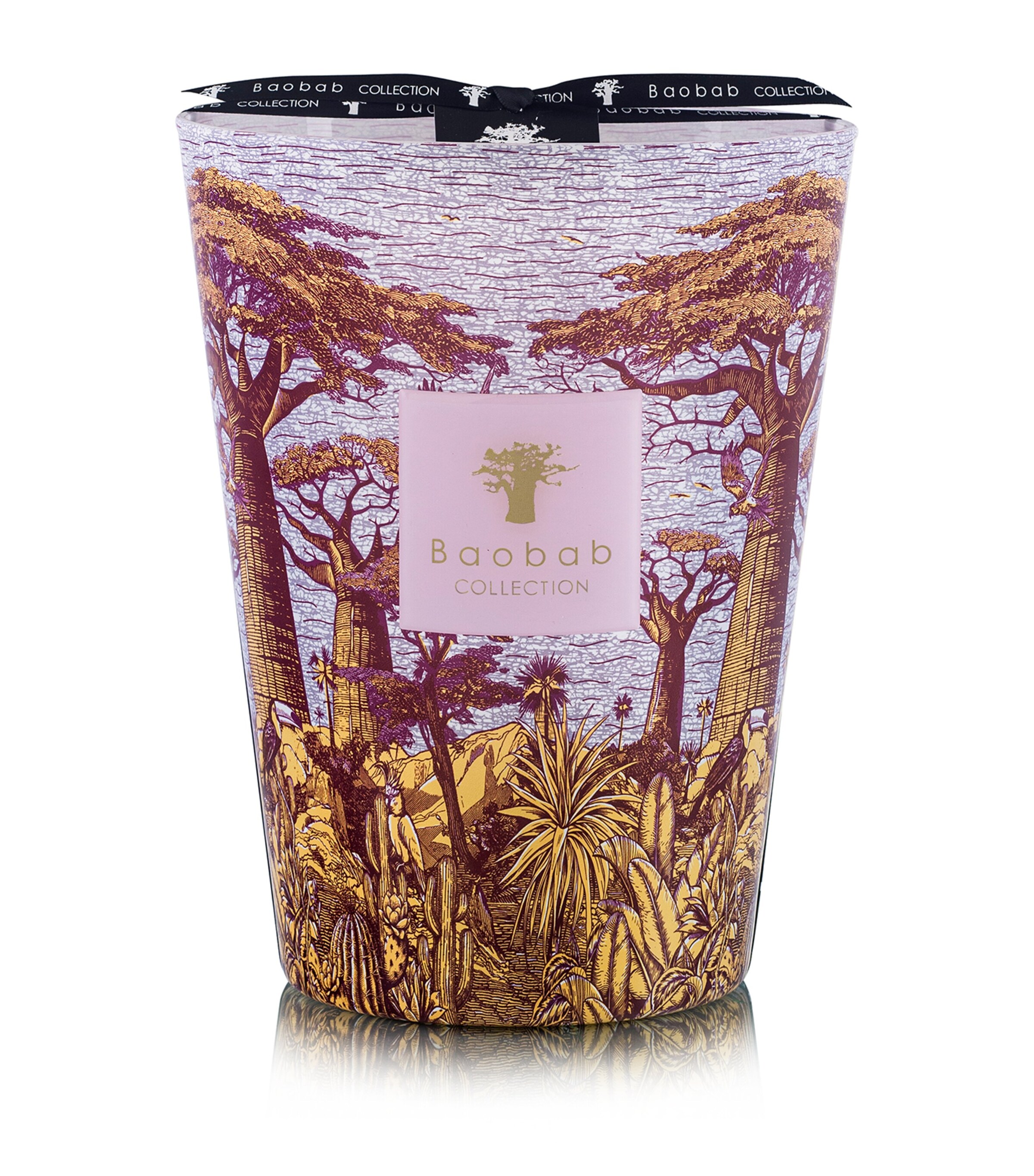 Sacred Trees Massasso Candle (5.2kg)
