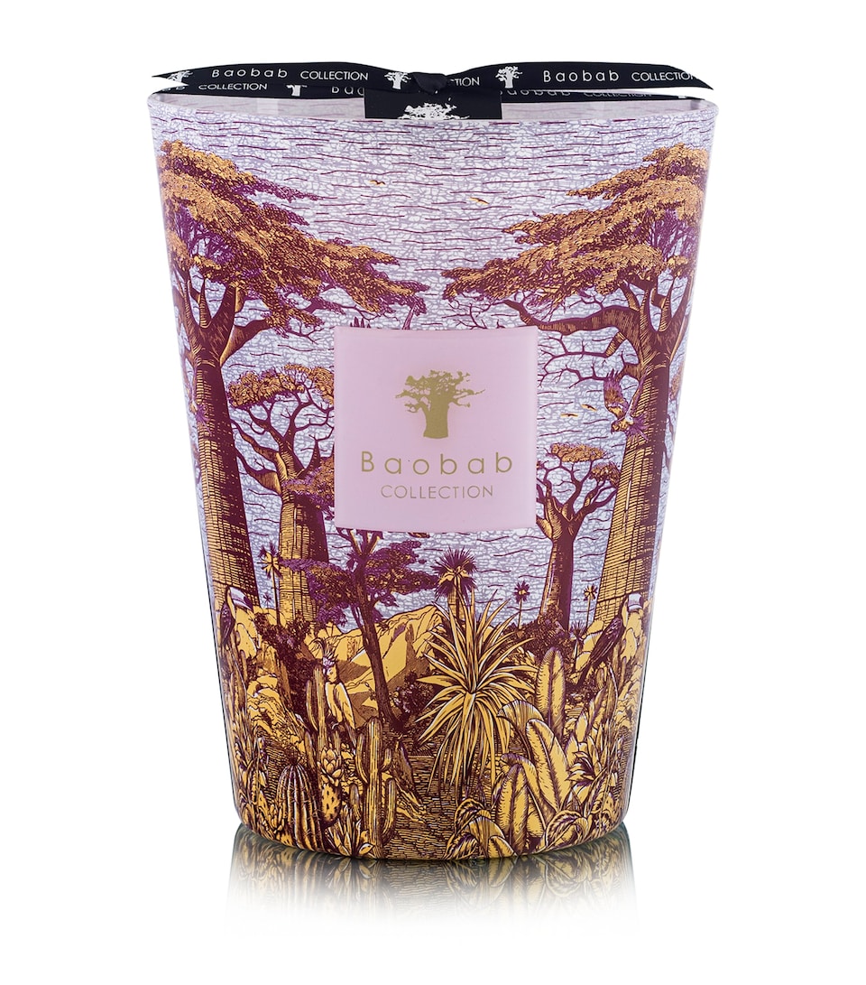 Sacred Trees Massasso Candle (5.2kg)