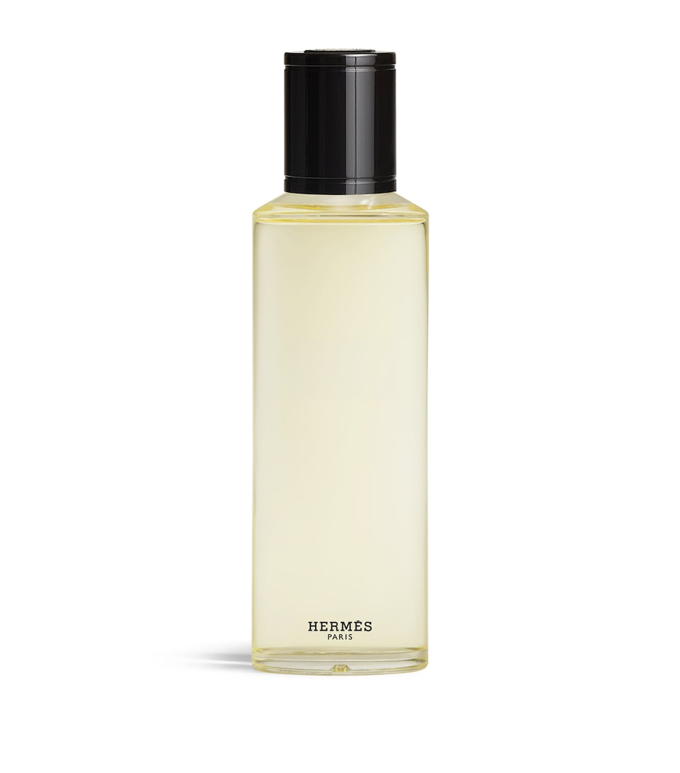 HERMÈS Terre d’Hermès Eau Givrée Eau de Parfum Refill (125ml)