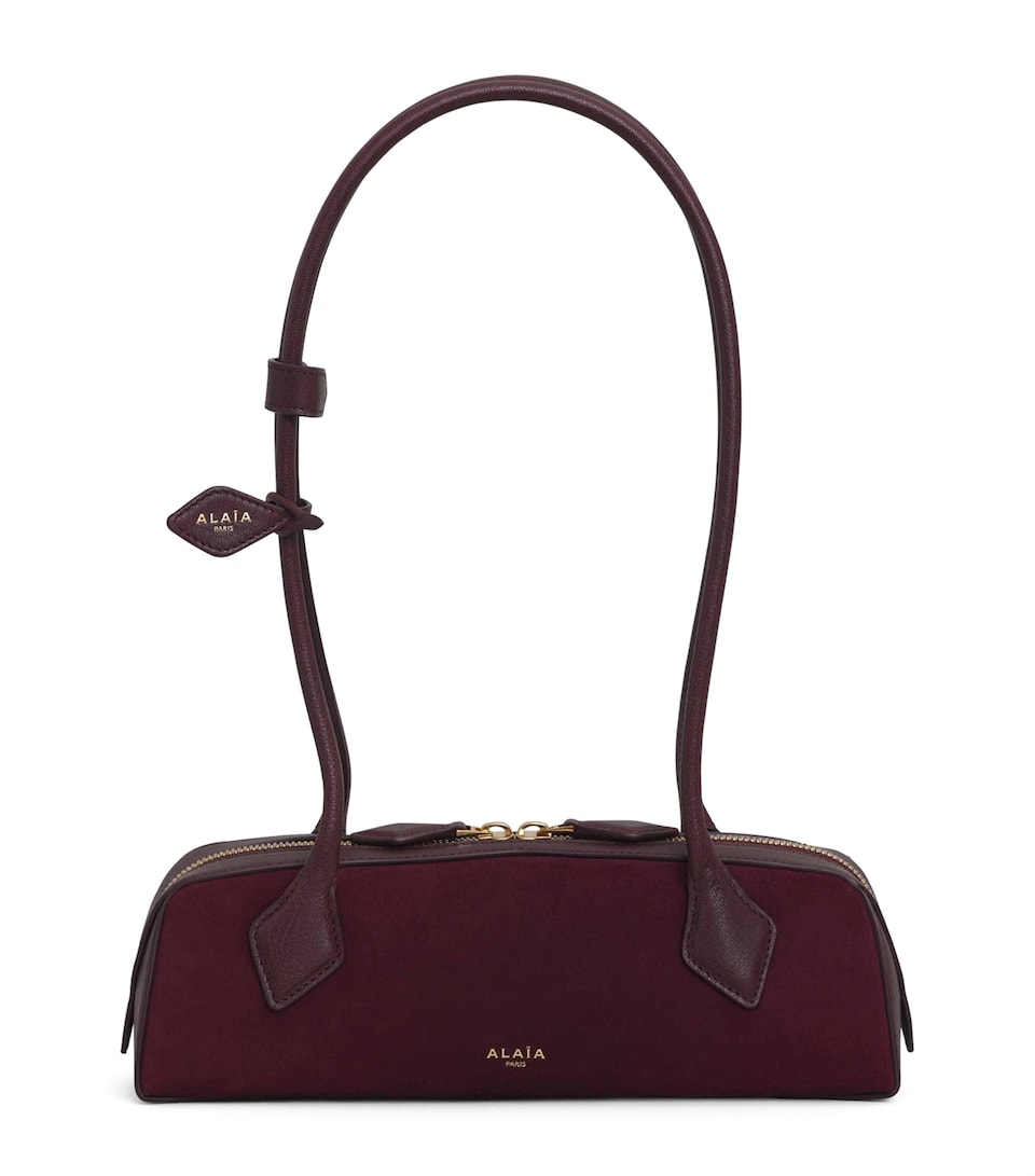 Small Suede Le Teckel Shoulder Bag