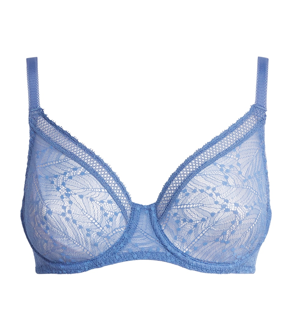 Lace Comète Plunge Bra