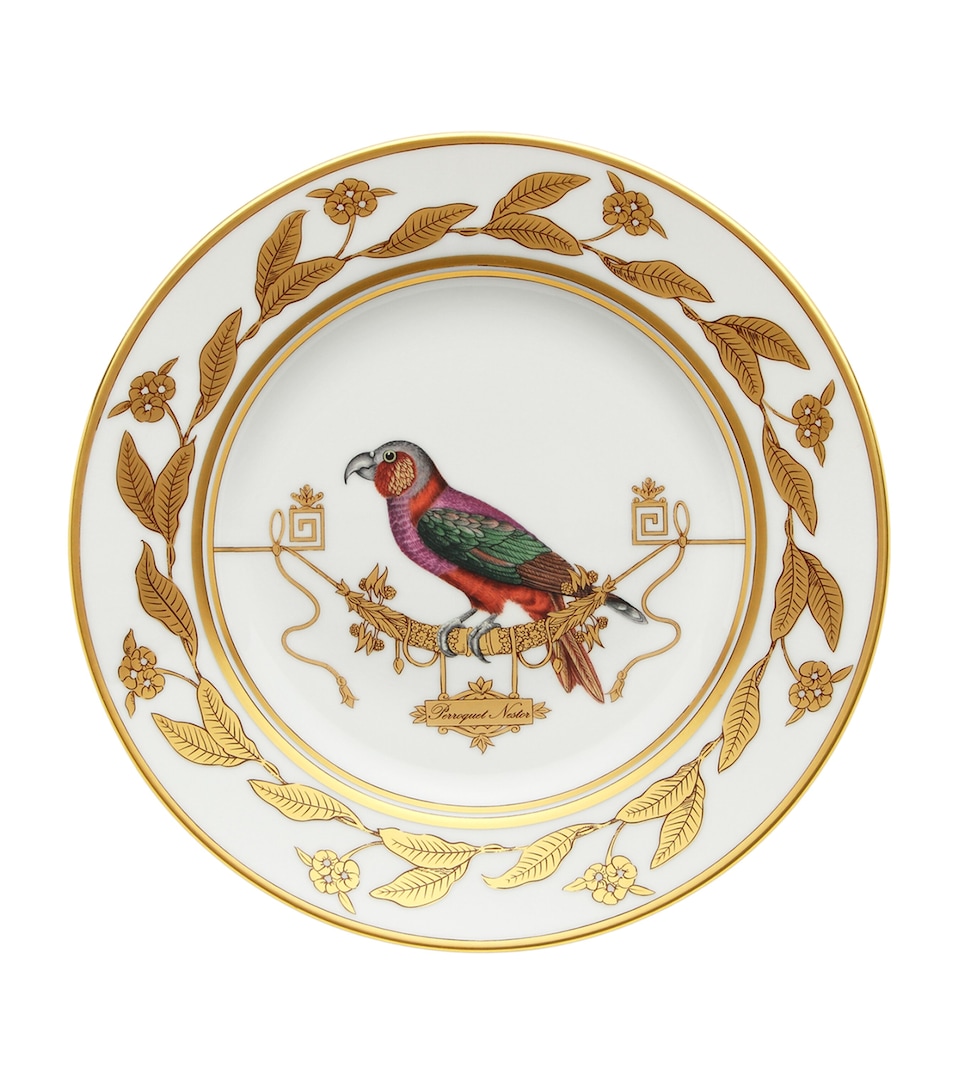 Volière Perroquet Nestor Dessert Plate (22cm)