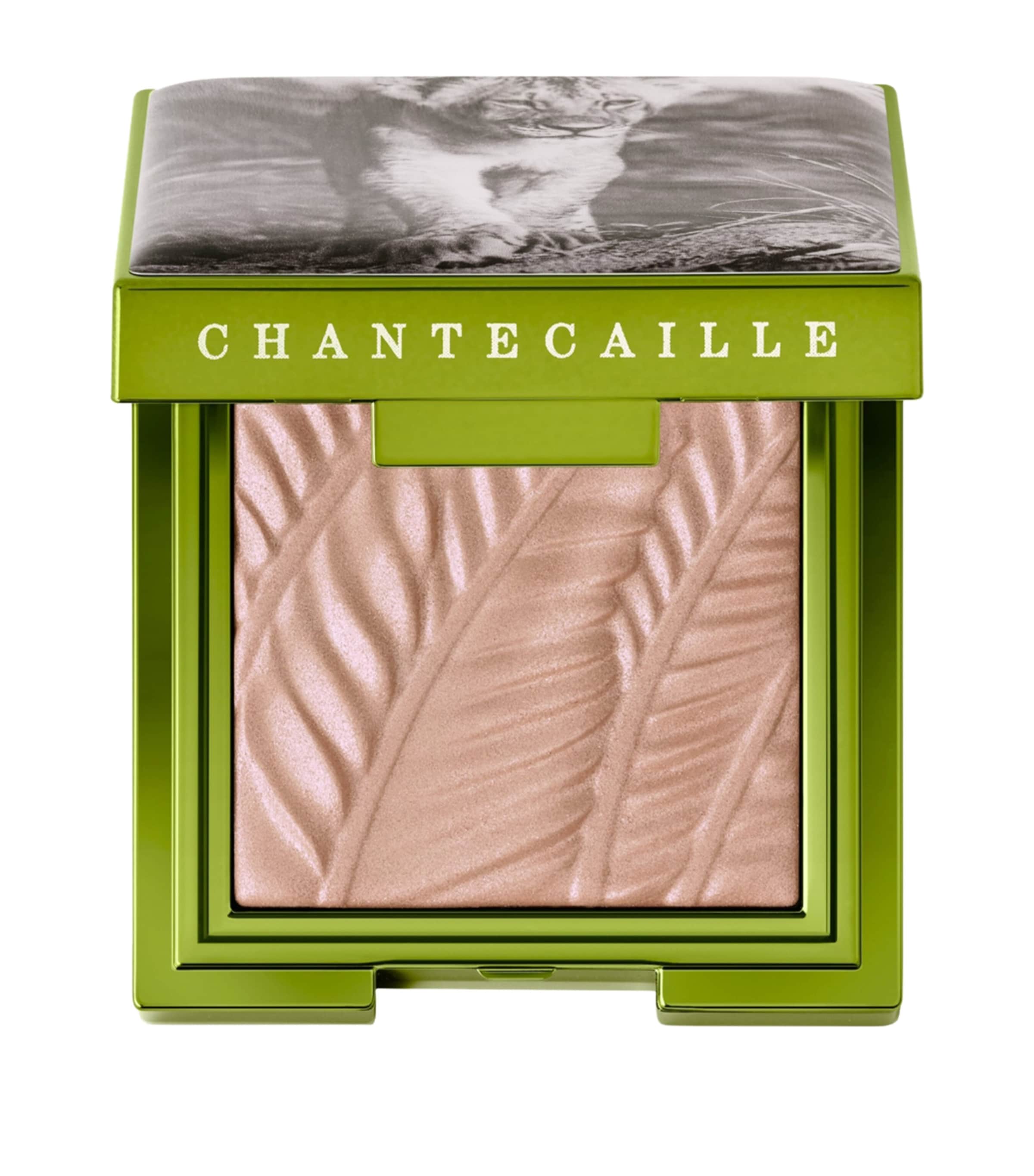 Chantecaille Luminescent Eye Shade Narika