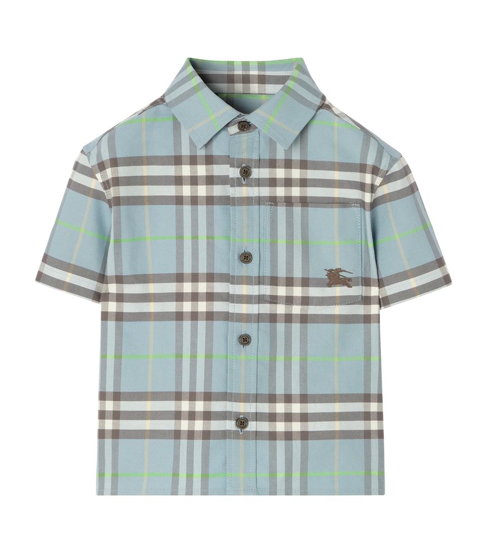 Burberry Kids Cotton Check Oxford Shirt (6-36 Months) Misty Blue Ip Check