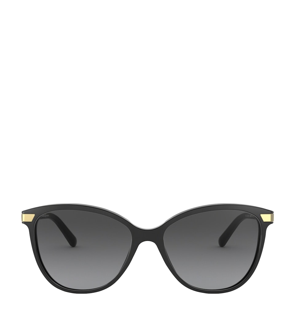 Acetate BE4216 57 Sunglasses