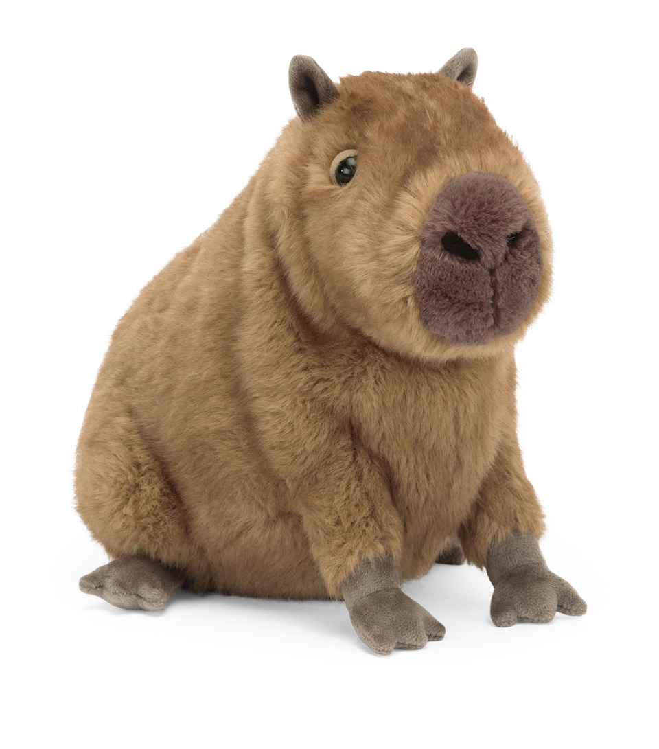 Clyde Capybara (21cm)