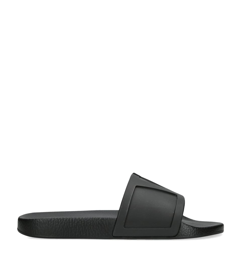 VLogo Signature Slides