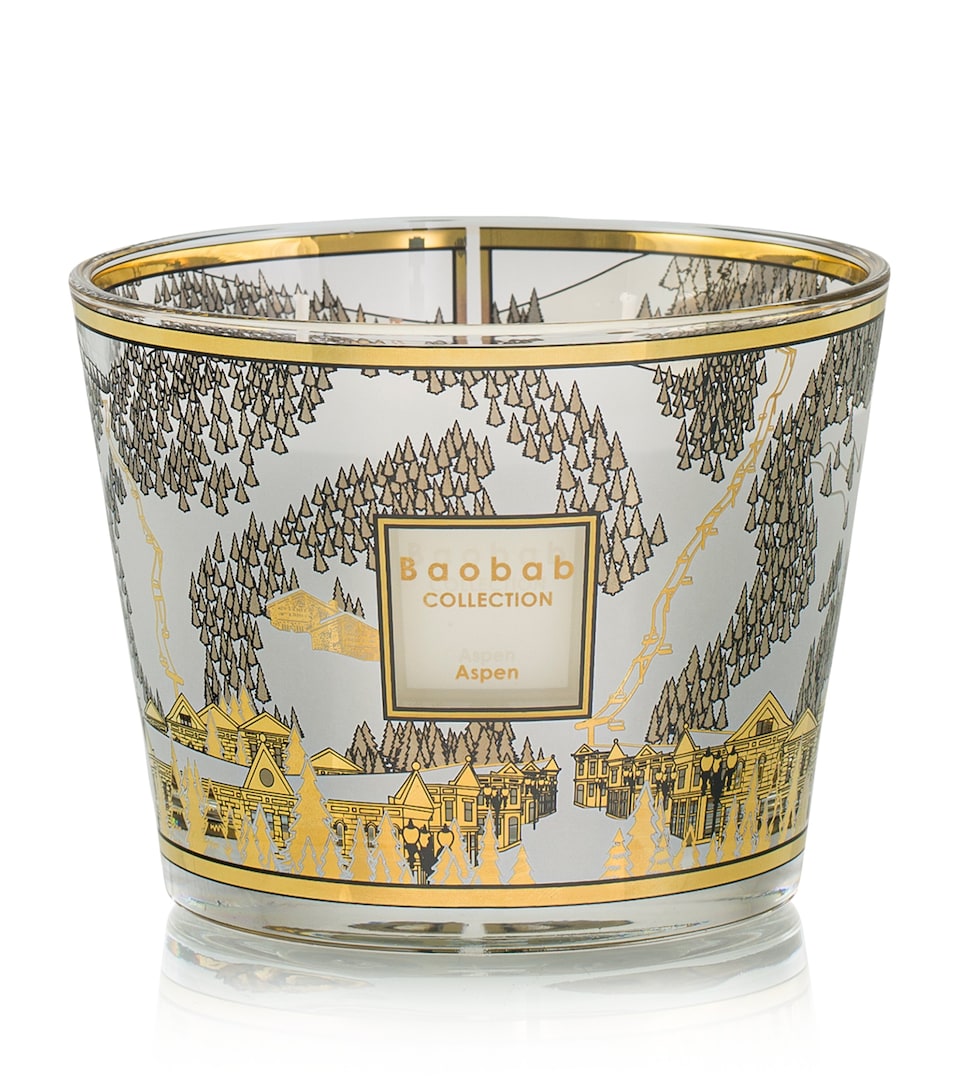Baobab Collection Aspen Candle (500g) White & Gold