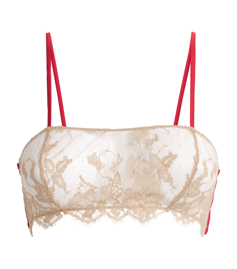 Lace Orchid Bandeau Bra