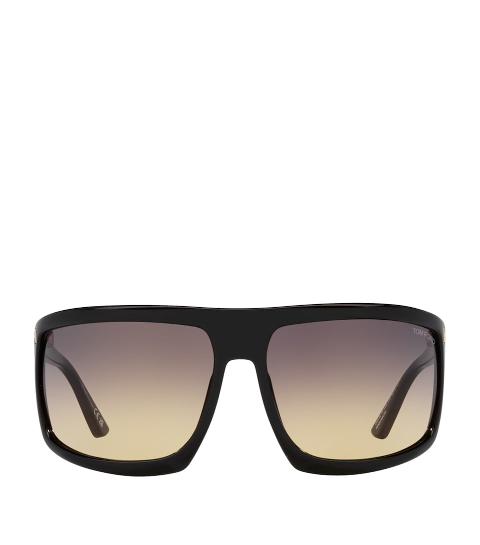 TOM FORD Injected 0TR001675 Sunglasses