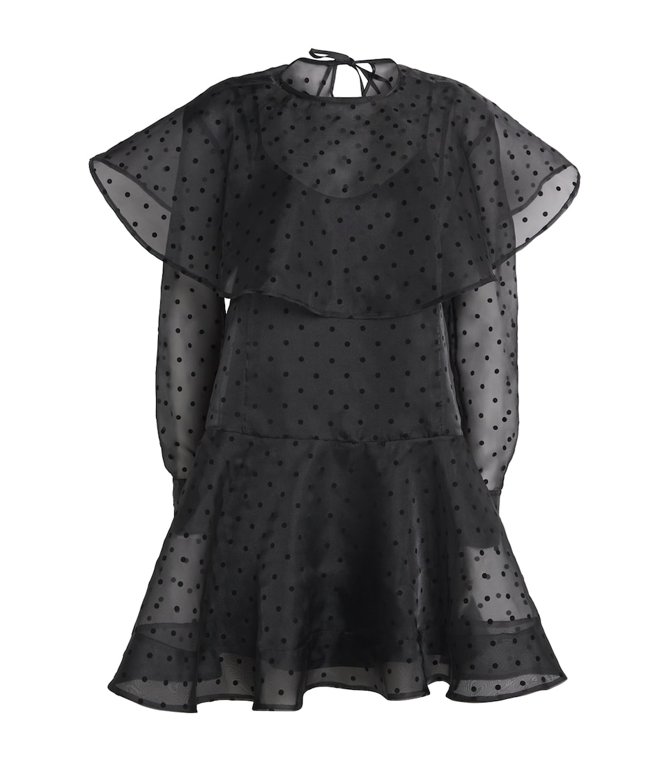 Organza Polka-Dot Mini Dress