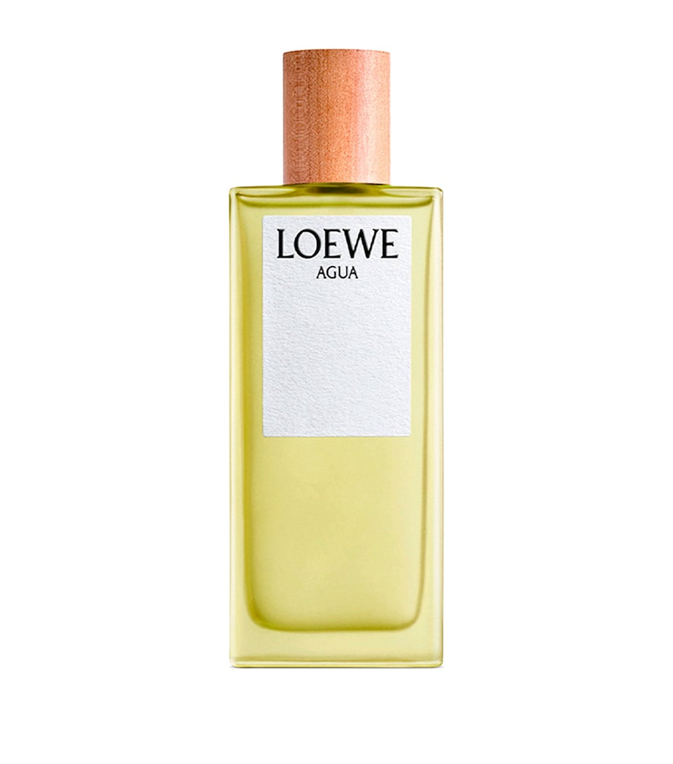 Agua Eau de Toilette (100Ml)