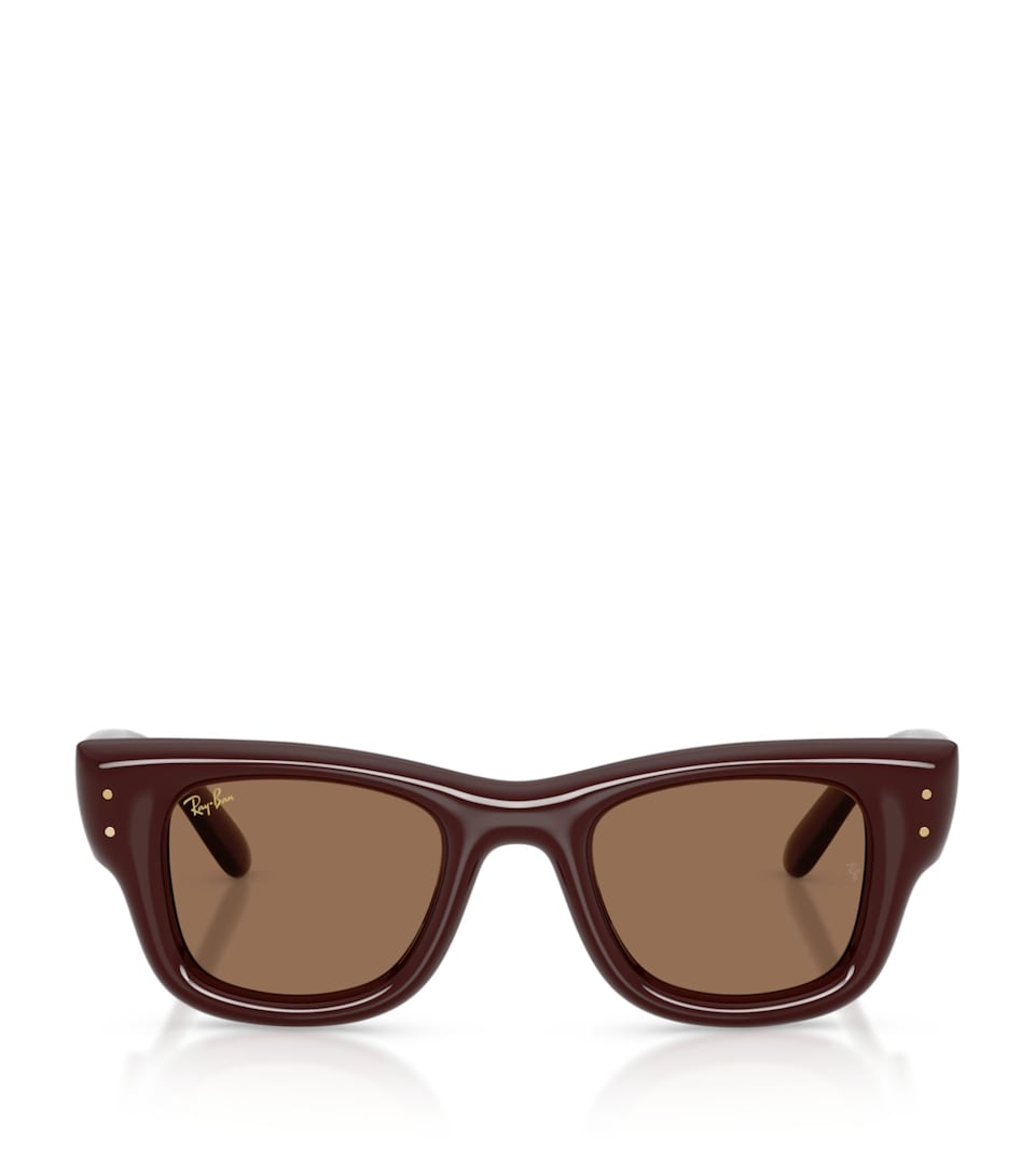 Ray-Ban Wayfarer Puffer Sunglasses Brown