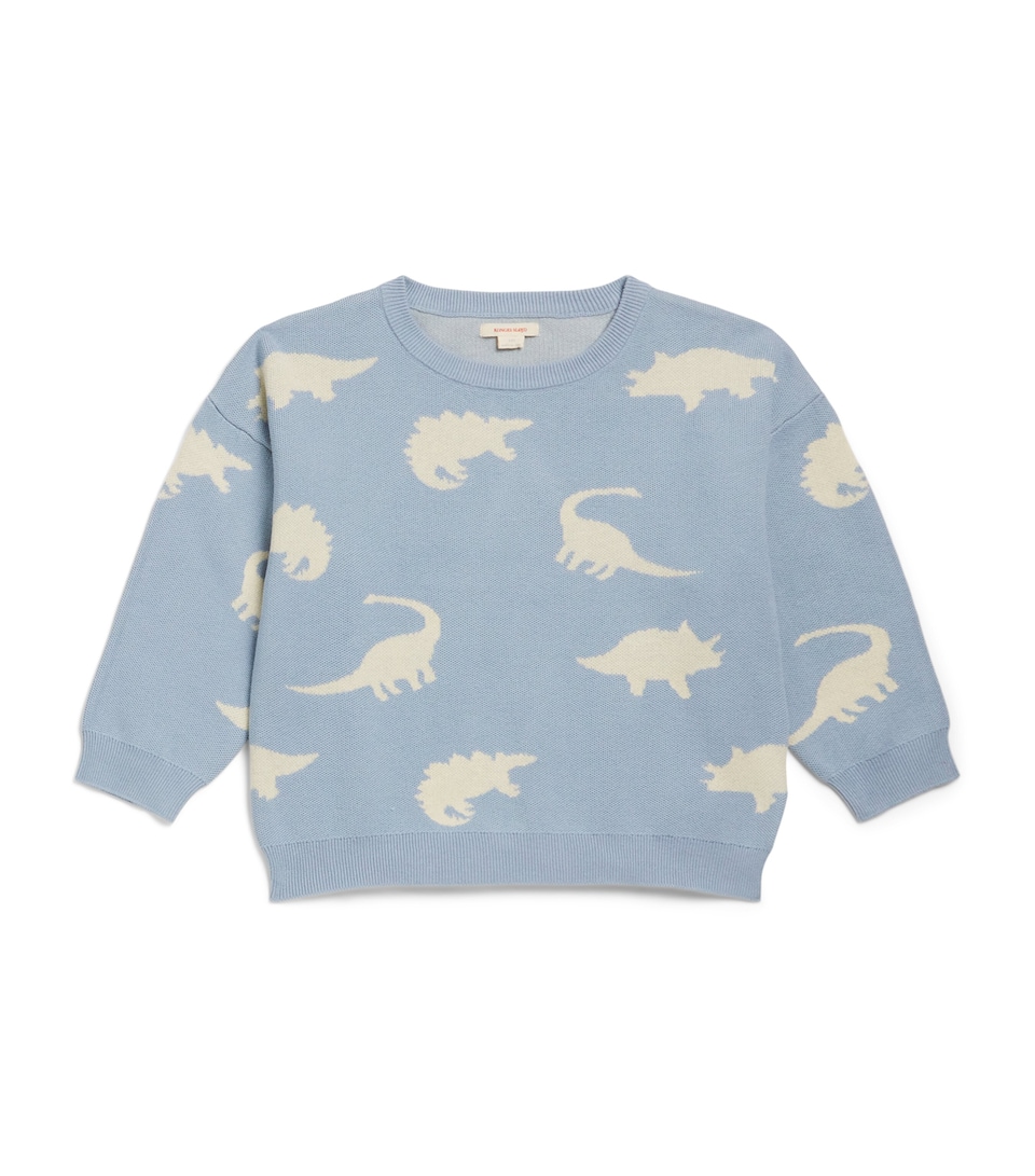 Dinosaur Print Sweater (5-10 Years)