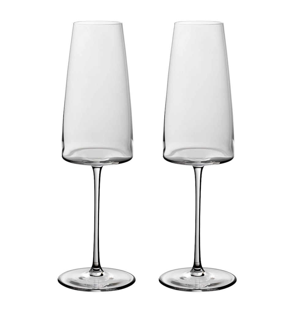 Set of 2 Crystal MetroChic Champagne Flutes (120ml)