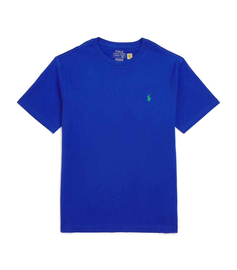 Logo Embroidered T-Shirt (6-14 Years)