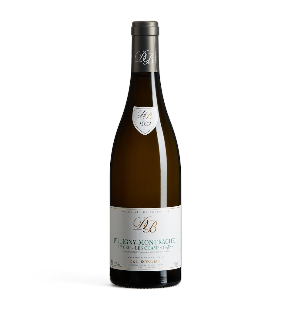 Domaine Borgeot Puligny-Montrachet 1er Cru Les Champs Gains 2022 (75cl) - Burgundy, France