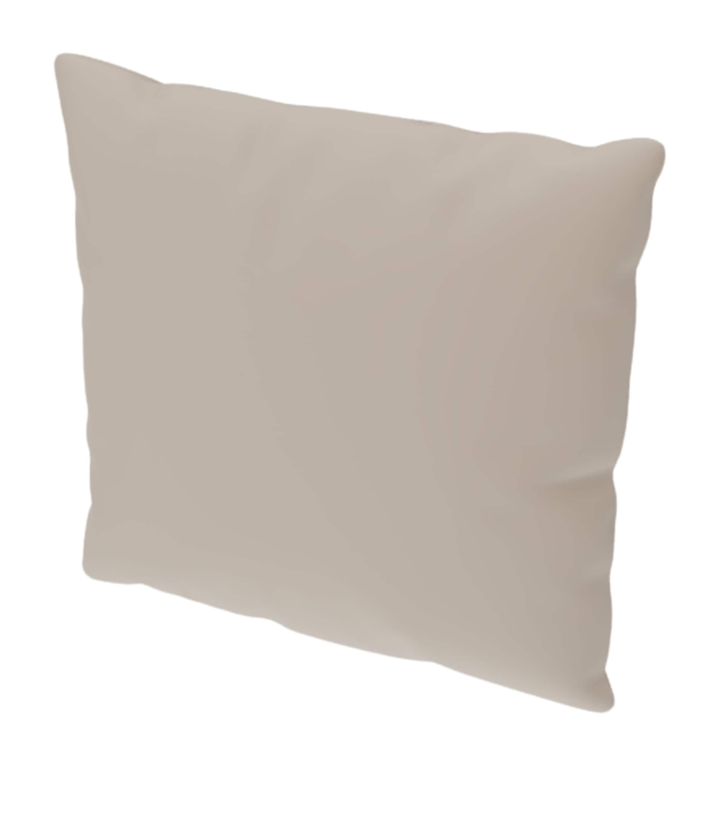 Poltrona Frau Leather Cushion (47cm x 47cm) Ple Sc/il Maggese