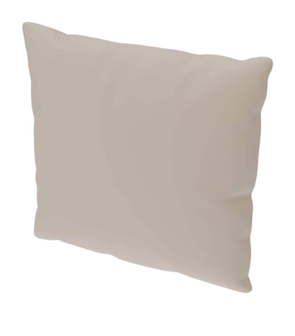 Poltrona Frau Leather Cushion (47cm x 47cm) Ple Sc/il Maggese