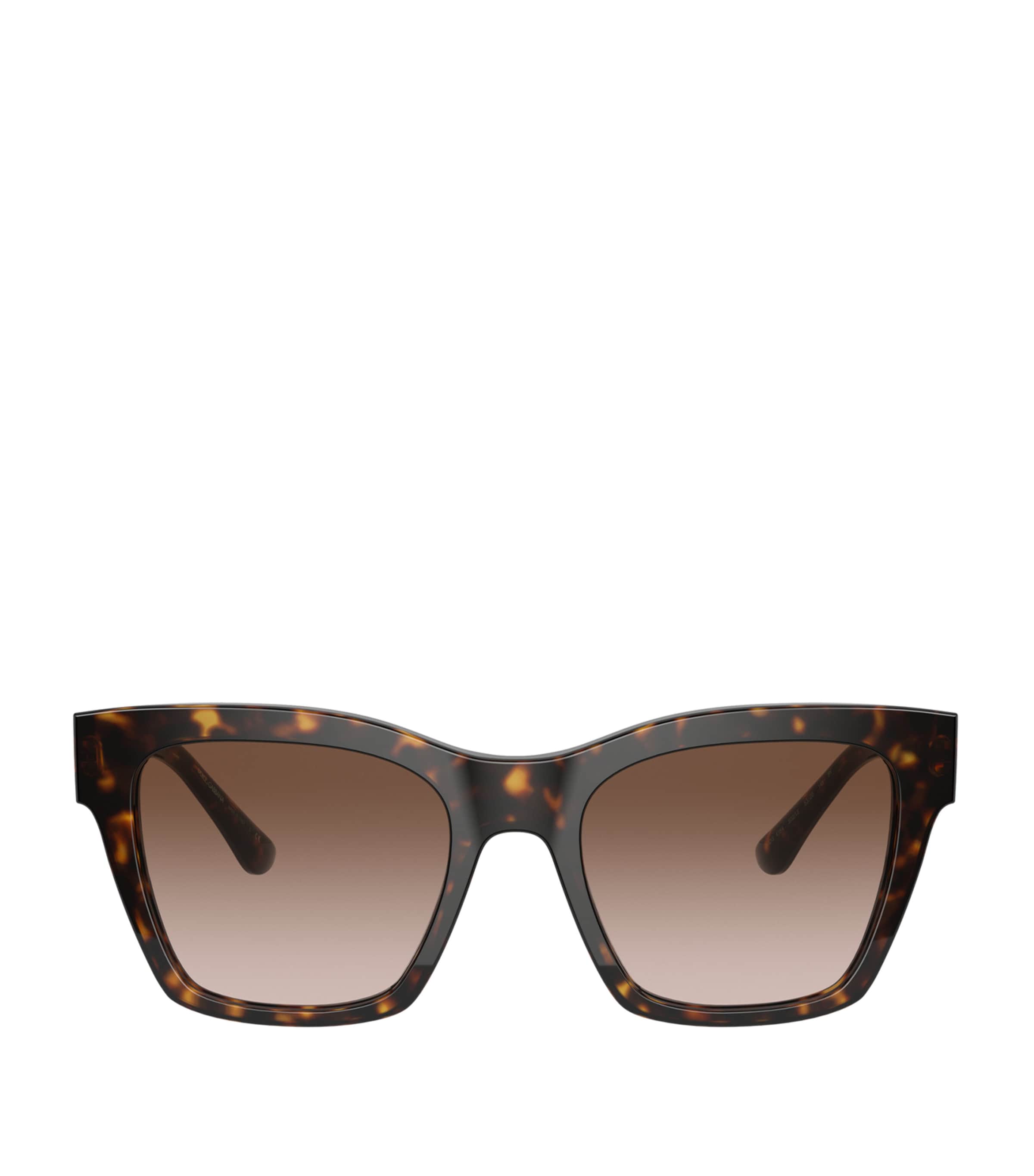 Tortoiseshell Wayfarer Sunglasses