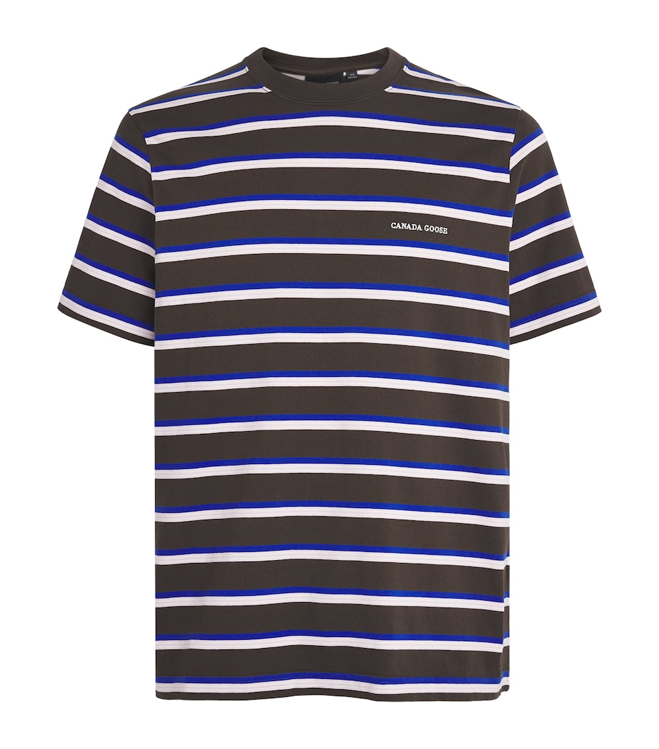 Canada Goose Mens Organic Cotton Stripe Vantage T-Shirt Terra Mton Strp