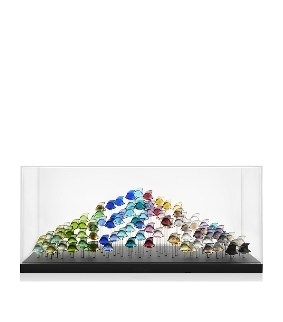 Glass Fish Tank Sculpture