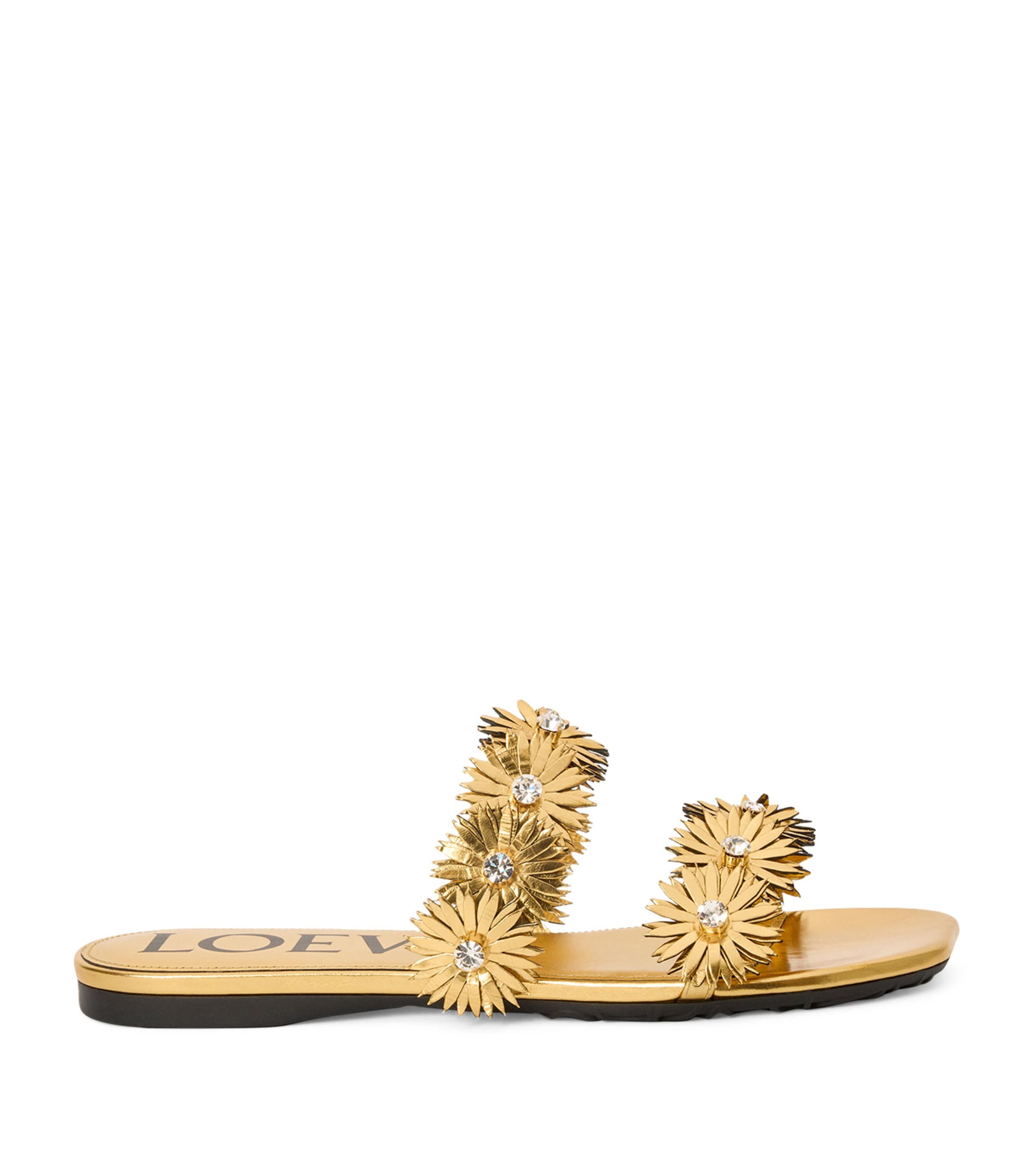 Womens LOEWE | Harrods US