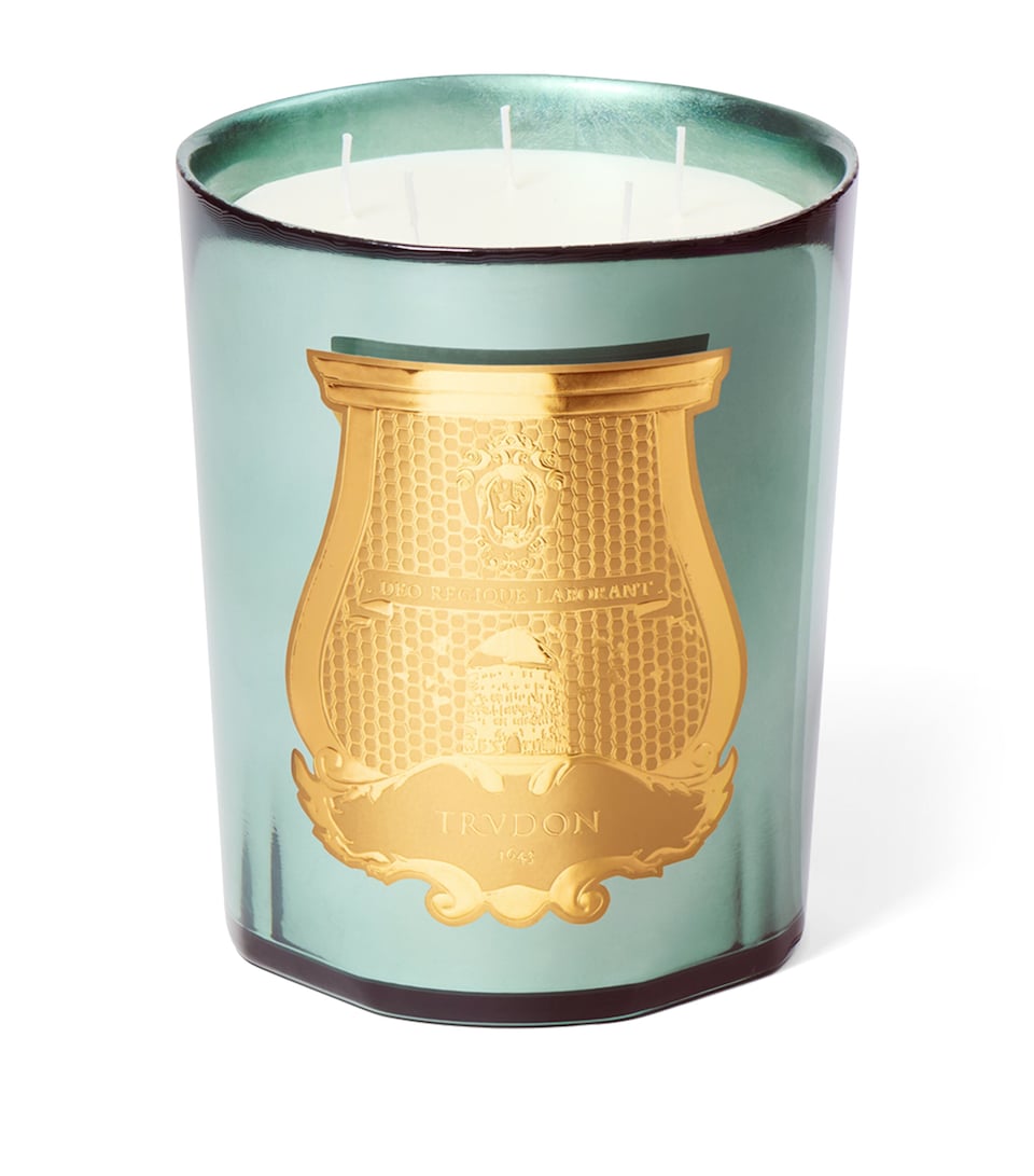 Trudon Fir Candle (2.3kg) Celadon