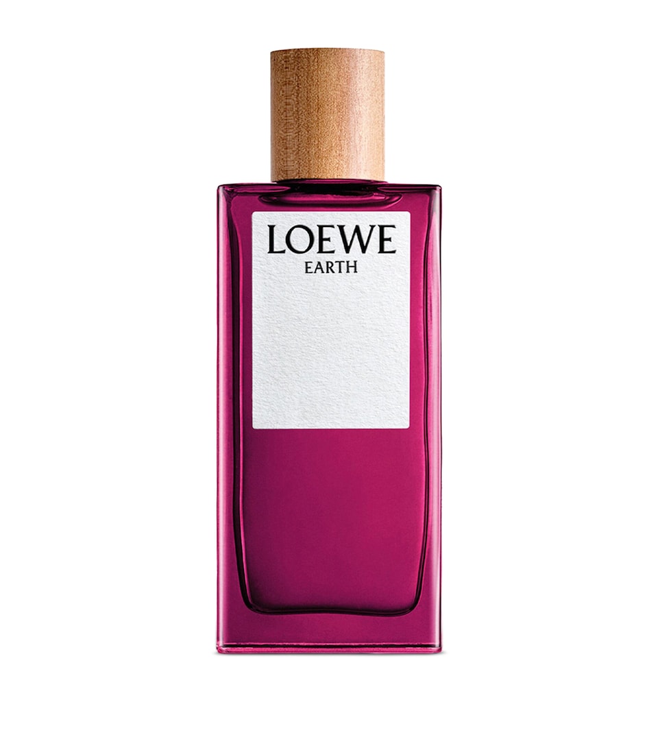 LOEWE Perfumes Earth Eau de Parfum (100ml)