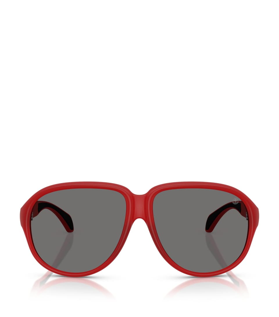 Moncler Injected Halcyonne ME8001 Sunglasses