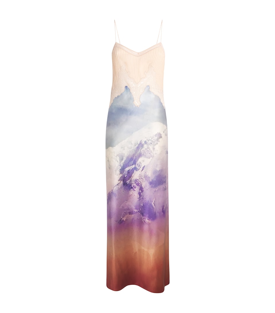 Gabriela Hearst Womens x Paul Smith Silk Printed Adolphine Maxi Dress Mtn Mountain