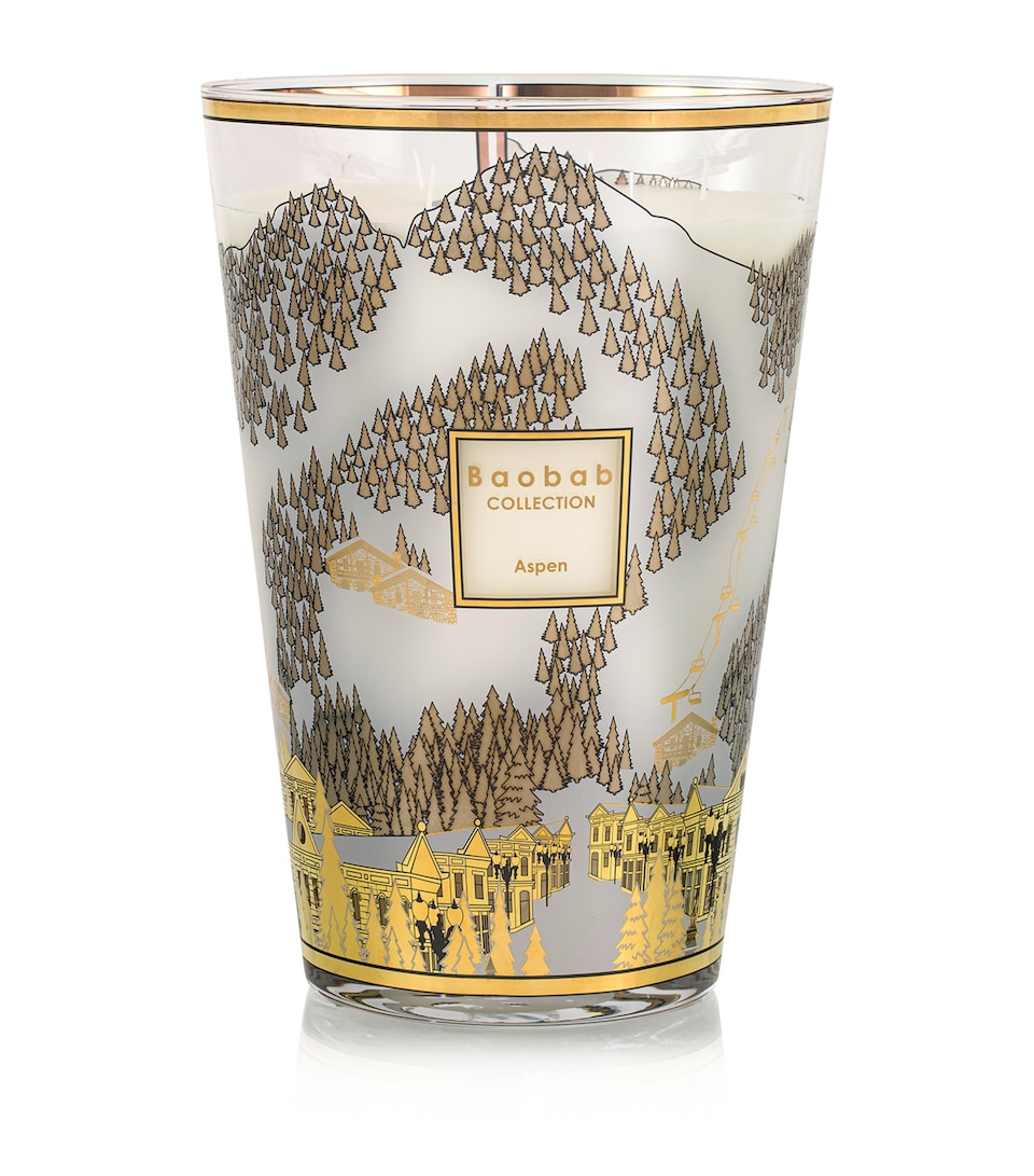 Baobab Collection Aspen Candle (6.5kg) White & Gold