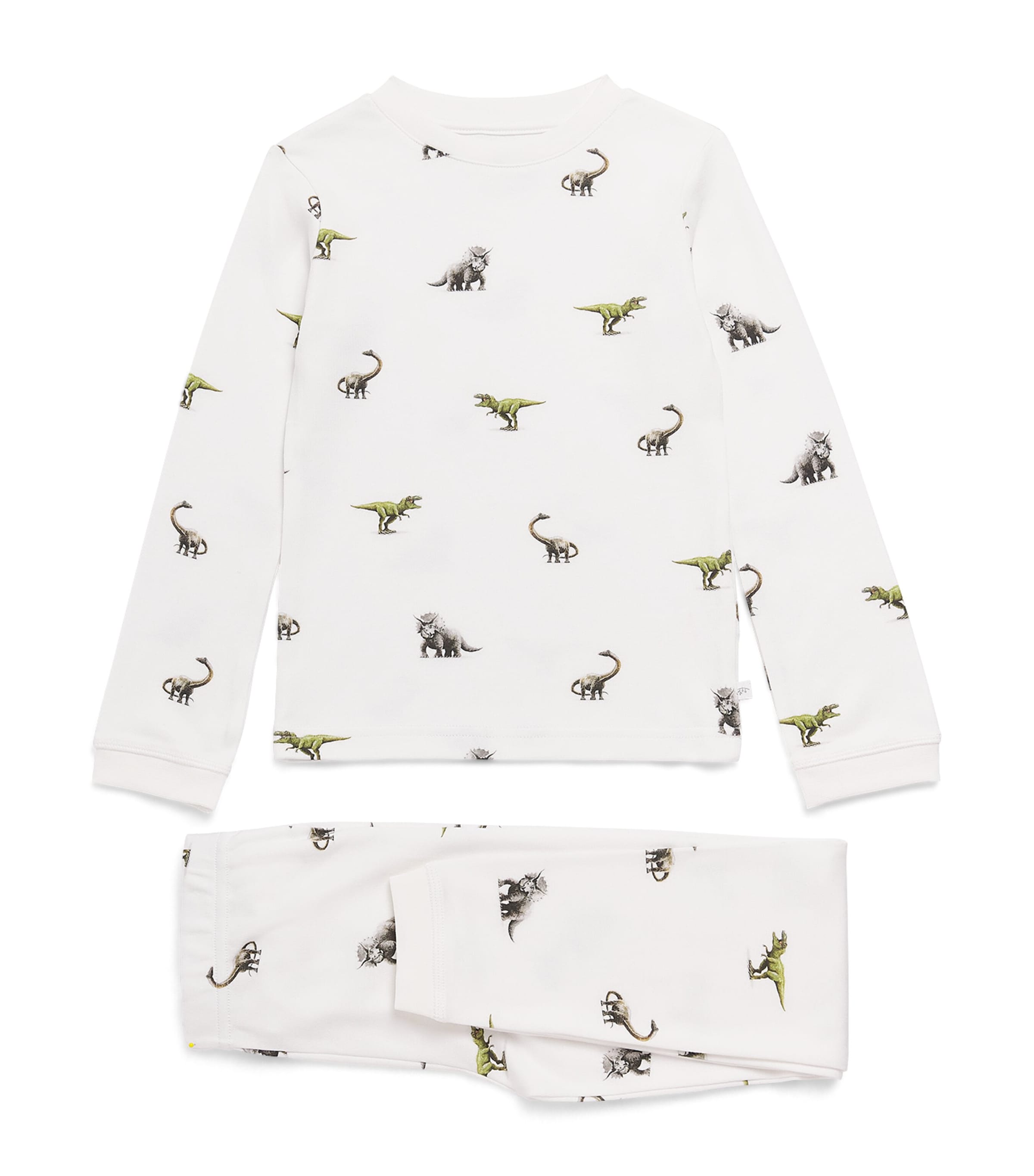 Rosa & Blue Dinosaur Pyjama Set (4-5 Years) Dinosaur